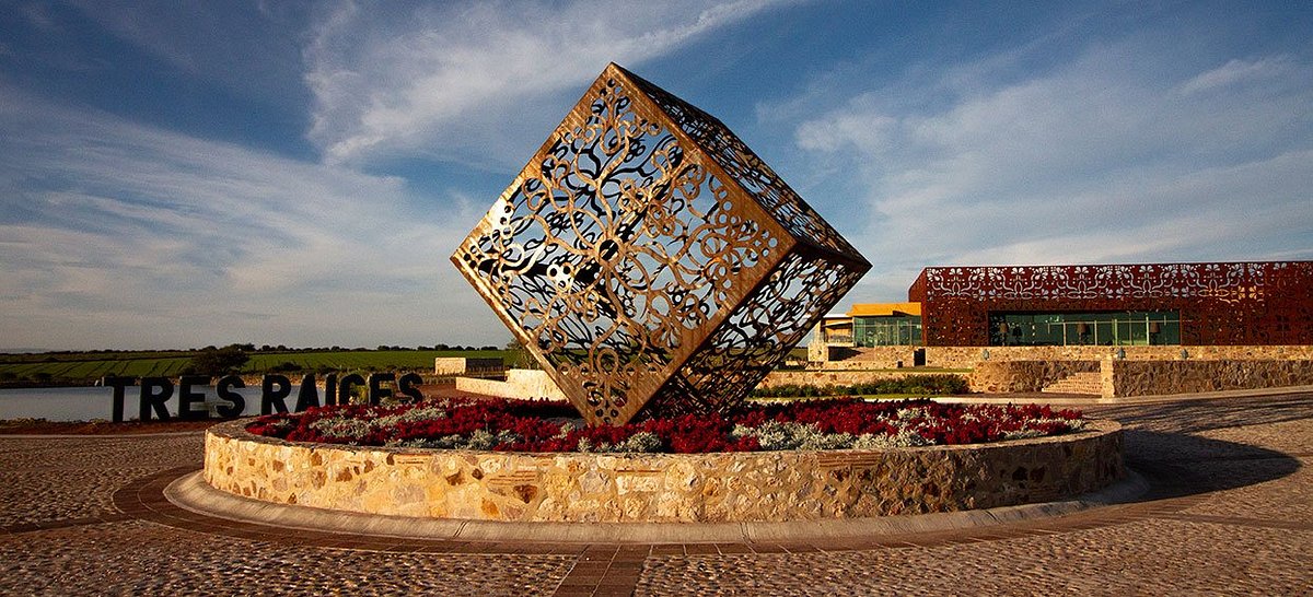 Guanajuato ya no es promesa… es potencia mundial del vino 🍷