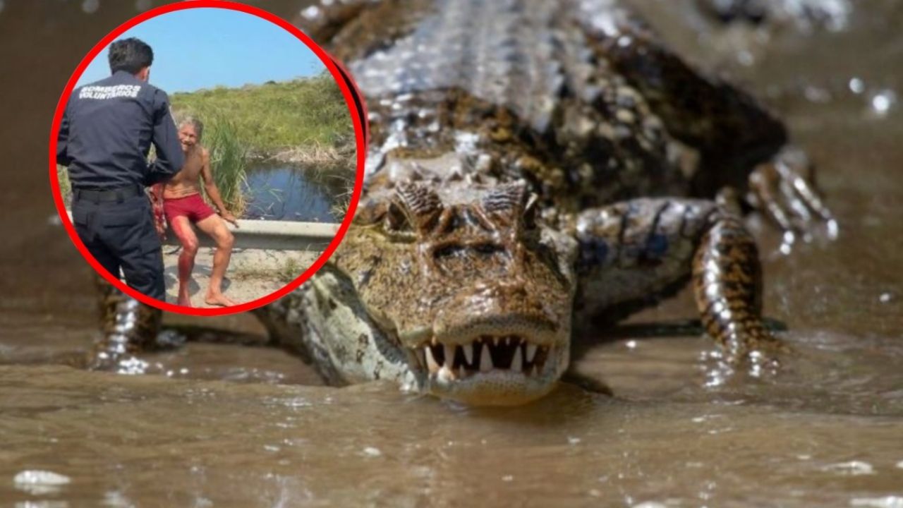 Un cocodrilo ataca a un abuelito en Tamaulipas