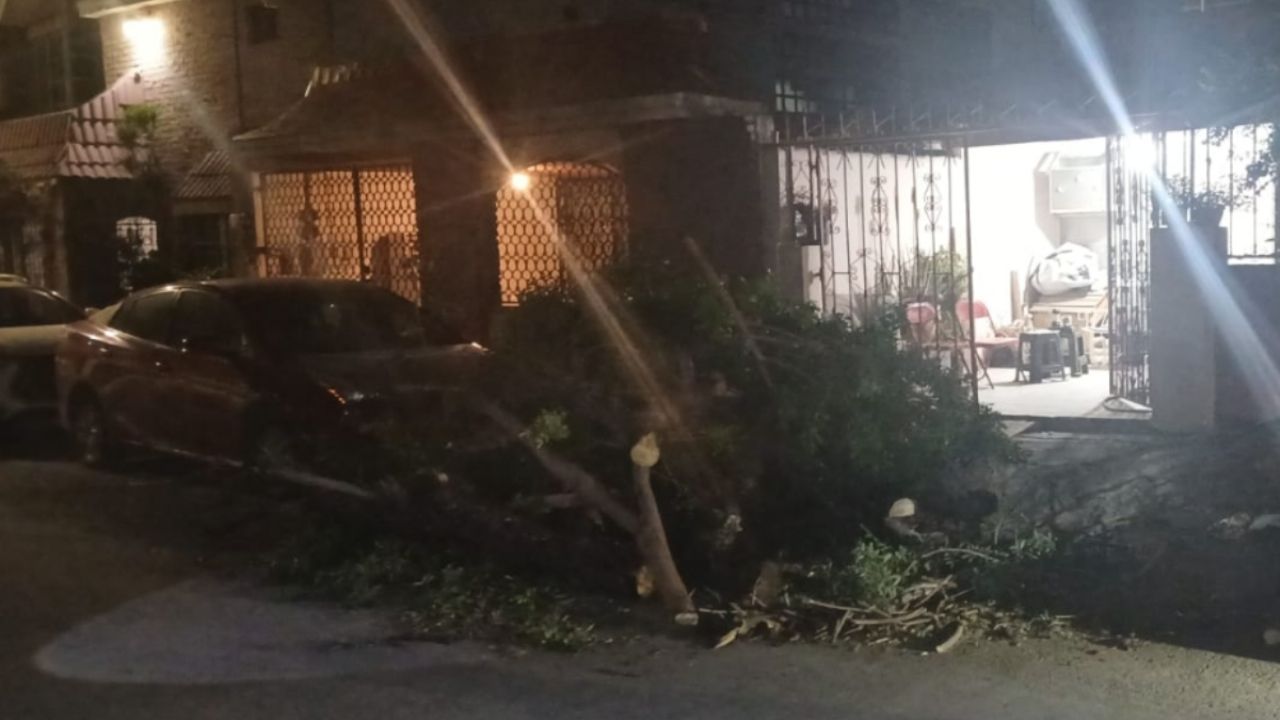 Impacto del Frente Frío 41 en el Norte de México