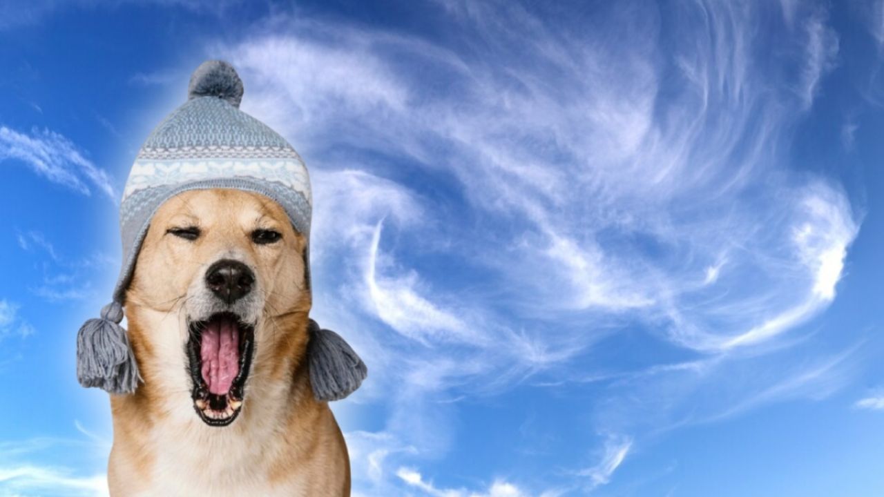 Pronóstico del Clima en Nuevo León para el 19 de marzo de 2026