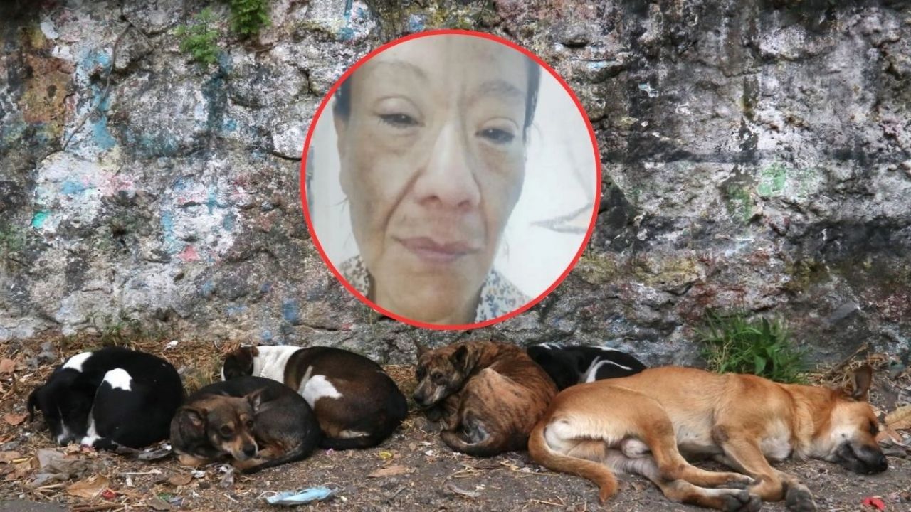El trágico caso de Diana Belén: una rescatista de animales encontrada sin vida
