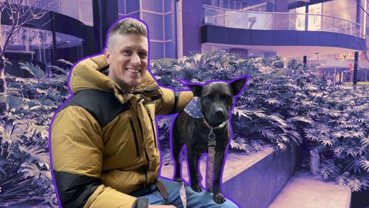 Innovador uso de IA para desarrollar tratamiento contra el cáncer en mascotas