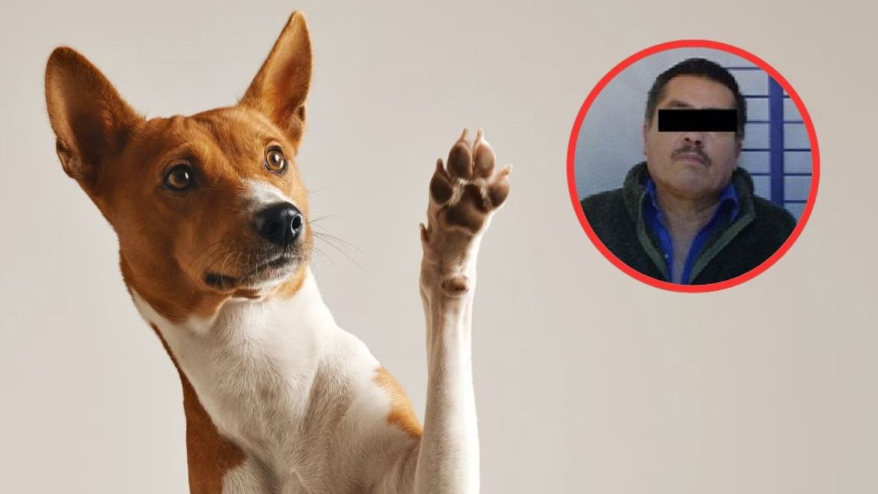 Detención de Raymundo ‘N’ por maltrato animal en Puebla