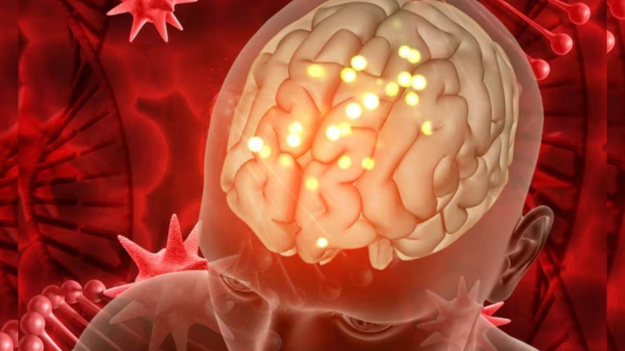 La conexión entre el cerebro y el intestino: Impacto de la microbiota en la salud mental