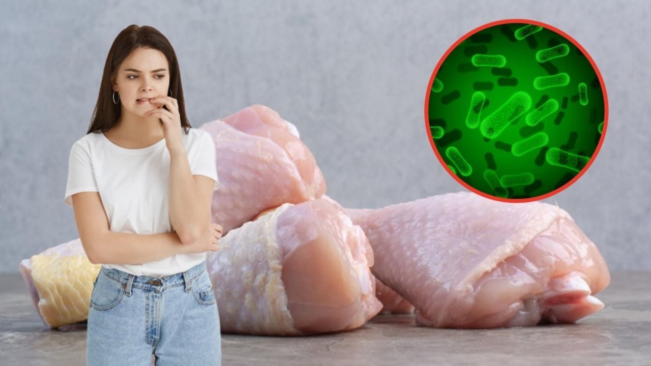 Retiran más de 10 toneladas de pollo por posible contaminación bacteriana