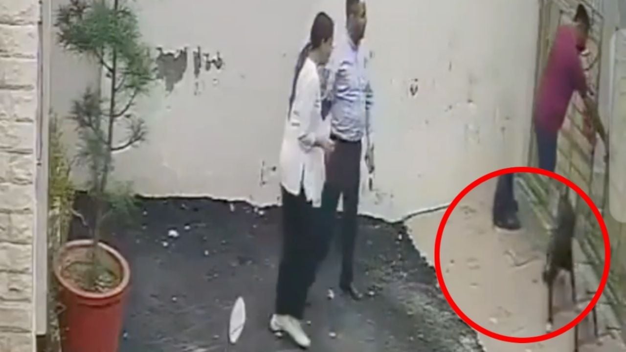 Attack by Pitbull During Home Viewing Leaves Couple Injured
